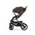 Oyster Vee - Brown/Chocolate