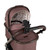 Cosatto Giggle 4 Special Edition All Stage Home & Travel Bundle - Bear Hug