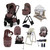 Cosatto Giggle 4 Special Edition Mega Bundle - Bear Hug