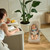 Kinderkraft MIMI Bouncer - Light Grey