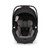 Nuna Mixx Next + Arra Flex & Base Curv Travel System Bundle - Biscotti