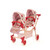 Roma RHS Twin Dolls Pram - Flora