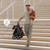 Kinderkraft DAVE Auto-Folding Premium Stroller - Velvet Mocha