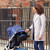 Uppababy Carry-All Parent Organiser