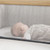 Tutti Bambini CoZee Bedside Crib - Oak and Charcoal (mesh window)