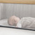 Tutti Bambini CoZee® Bedside Crib - Oak and Silver (mesh window)