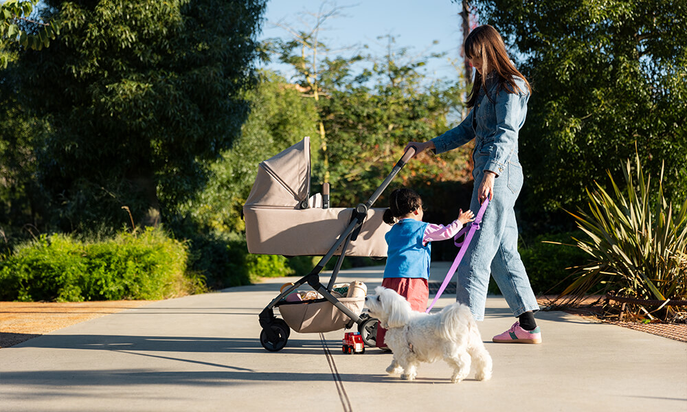 Joolz Aer2: The Ultimate Travel Stroller for Modern Parents on the Move ...