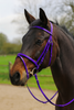 PVC bridle purple, horse bridle PVC, rubber reins bridle, purple horse tack, everyday riding bridle, waterproof horse bridle, durable equestrian bridle, easy clean bridle, horse training bridle, padded noseband bridle.