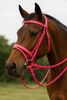 PVC bridle purple, horse bridle PVC, rubber reins bridle, purple horse tack, everyday riding bridle, waterproof horse bridle, durable equestrian bridle, easy clean bridle, horse training bridle, padded noseband bridle.