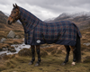 Deluxe 1200D Ripstop Waterproof Combo Horse Rug – 300G Fill, Assorted color 