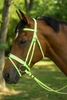 Red PVC Horse Bridle,   PVC Bridle with Rubber Reins,   Horse Bridle with White padding,  Durable PVC Bridle for Horses,  Everyday Riding Bridle,  Easy Clean Horse Bridle,  Rubber Reins with Good Grip,  High Quality PVC Horse Tack, Comfortable Horse Bridle, Stylish Horse Bridle for Shows