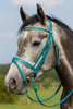 Red PVC Horse Bridle,   PVC Bridle with Rubber Reins,   Horse Bridle with White padding,  Durable PVC Bridle for Horses,  Everyday Riding Bridle,  Easy Clean Horse Bridle,  Rubber Reins with Good Grip,  High Quality PVC Horse Tack, Comfortable Horse Bridle, Stylish Horse Bridle for Shows