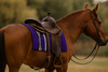 Shop Navajo Western Saddle Cloths / Saddle Pads – durable cotton blend, non-slip comfort, machine washable, and available in vibrant colors. Perfect fit under Western saddles. Shop Navajo Western Saddle Cloths / Saddle Pads – durable cotton blend, non-slip comfort, machine washable, and available in vibrant colors. Perfect fit under Western saddles.