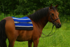 Shop Navajo Western Saddle Cloths / Saddle Pads – durable cotton blend, non-slip comfort, machine washable, and available in vibrant colors. Perfect fit under Western saddles. Shop Navajo Western Saddle Cloths / Saddle Pads – durable cotton blend, non-slip comfort, machine washable, and available in vibrant colors. Perfect fit under Western saddles.