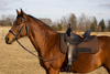 Thick Felt Western Saddle Pad with cut back design for high-withered horses. Made of 3/4” absorbent felt for airflow, comfort, and back protection. Size 32” x 32”. Available in stylish colors.