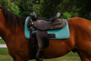 Thick Felt Western Saddle Pad with cut back design for high-withered horses. Made of 3/4” absorbent felt for airflow, comfort, and back protection. Size 32” x 32”. Available in stylish colors.