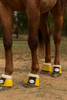 Horse bell boots, rubber overreach boots, fur neck bell boots, horse protective boots, equestrian overreach boots, horse turnout boots, paddock boots, Borraq horse gear, soft rubber bell boots, horse leg protection