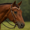 Concho Western BRIDLE - Headstall With reins Concho Western BRIDLE - Headstall With reins