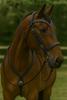 Concho Western BRIDLE - Headstall With reins