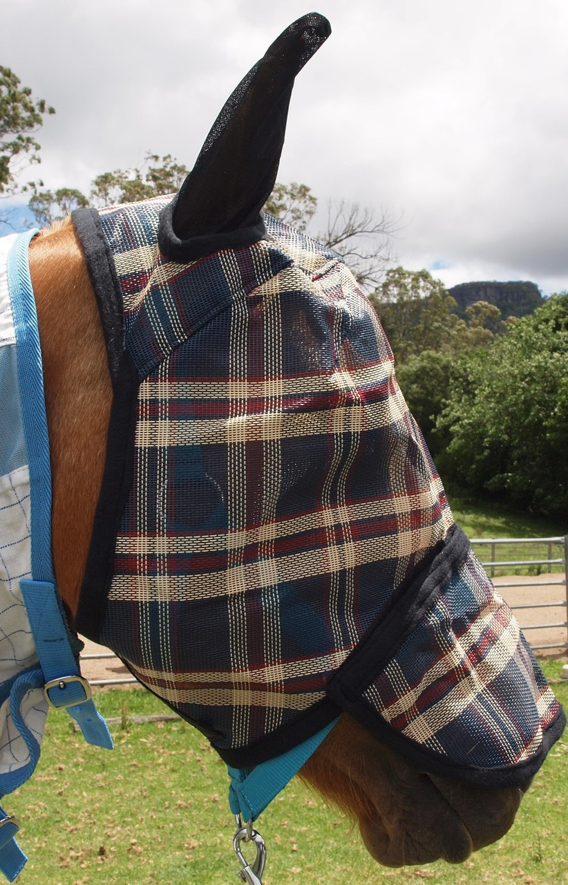 PVC FLY VEIL / Fly Mask With Zip Off Nose 