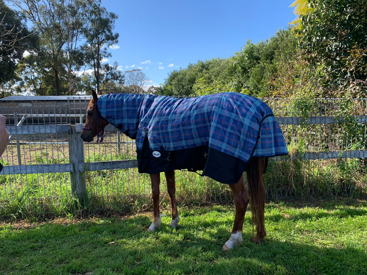 1200 Denier waterproof Horse Combo Rug 250g fill Winter Rug, Assorted color