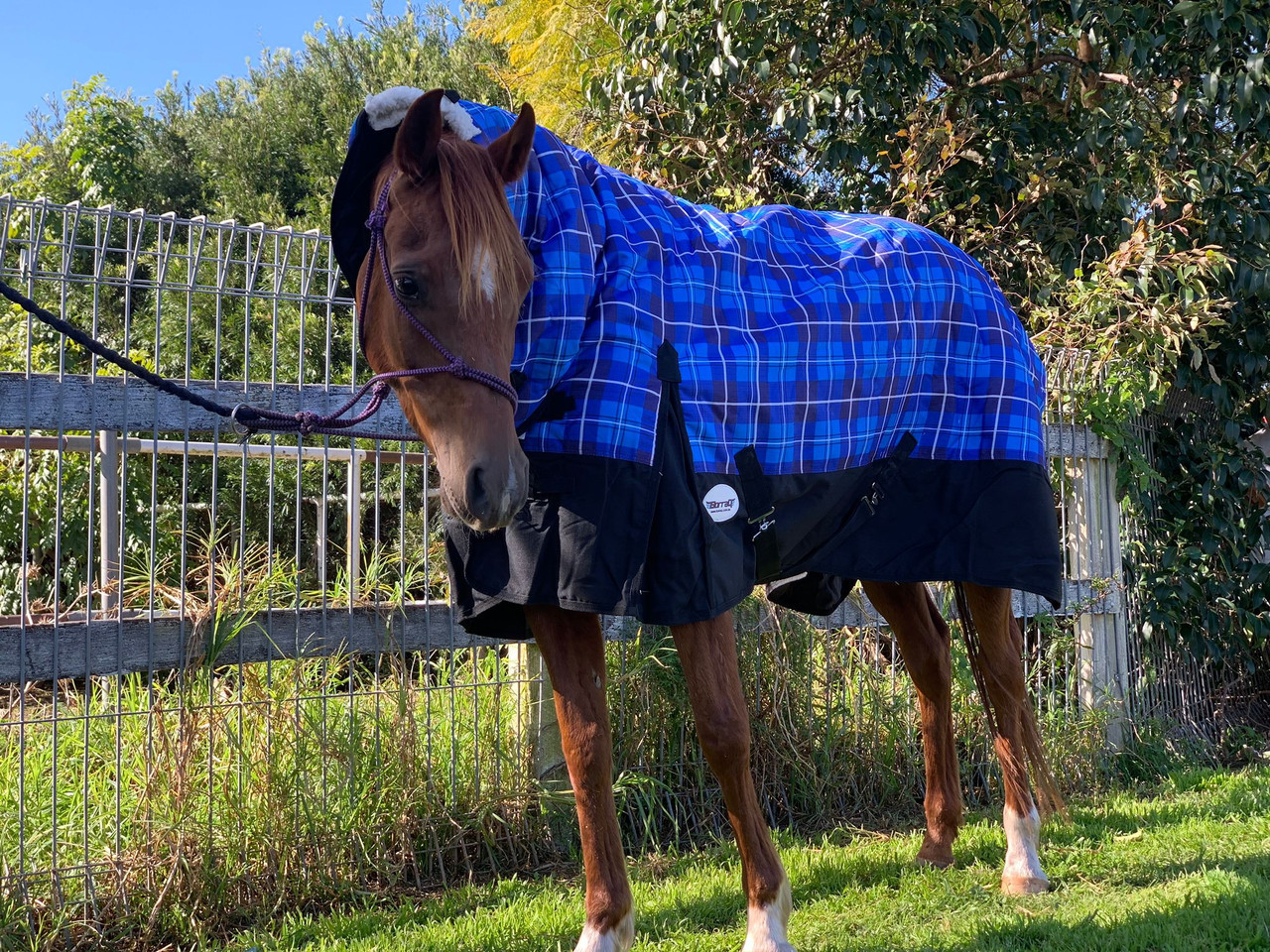 1200 Denier waterproof Horse Combo Rug 250g fill Winter Rug, Assorted color