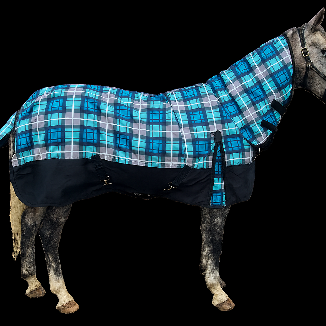 1200 Denier waterproof Horse Combo Rug 300g fill Winter Rug, Assorted color 1200 Denier waterproof Horse Combo Rug 300g fill Winter Rug, Assorted color