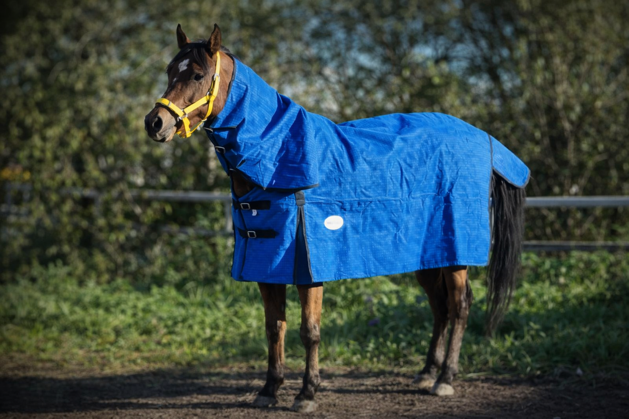 18oz Ripstop Canvas Horse Rug 