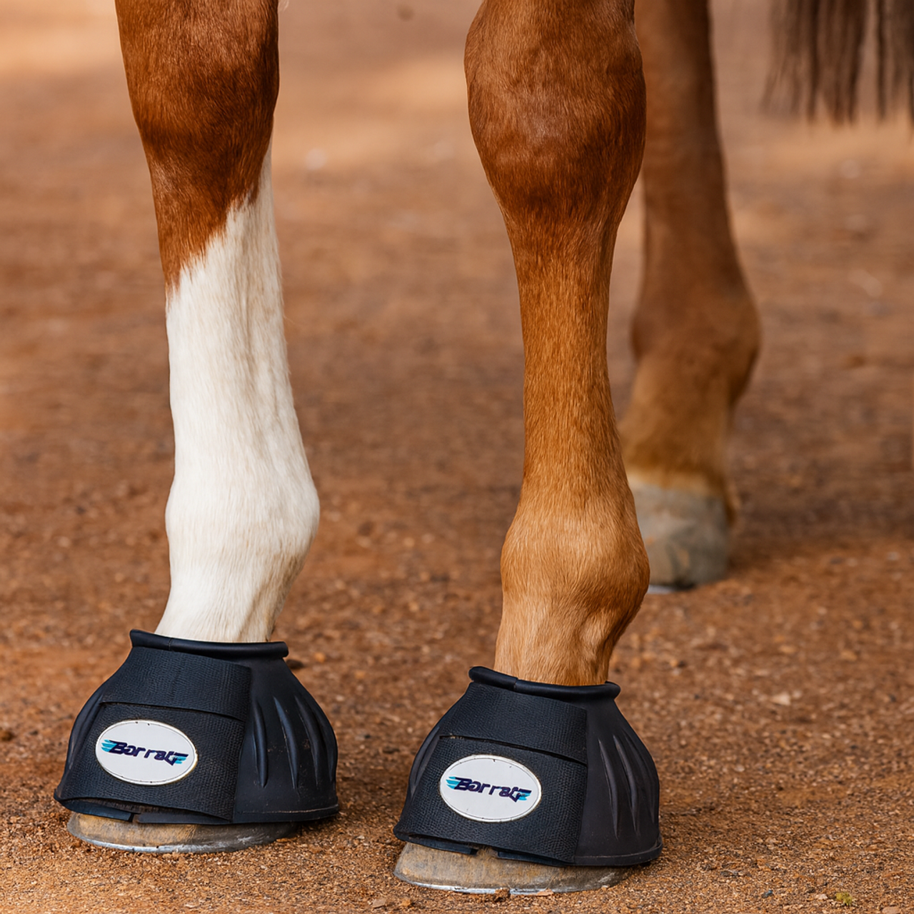 Horse Bell Boots – Rubber Overreach Boots