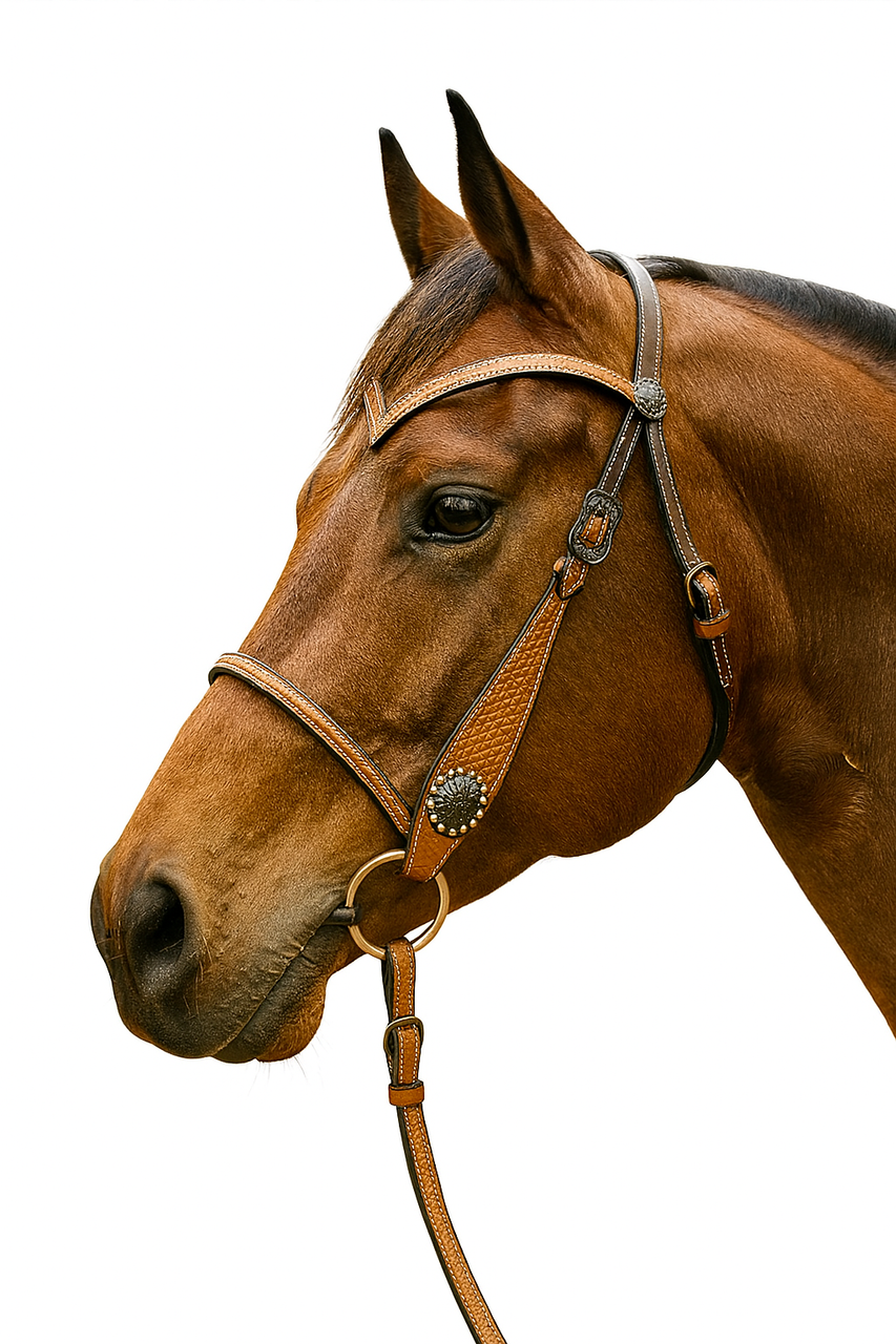 Concho Western BRIDLE - Headstall With reins