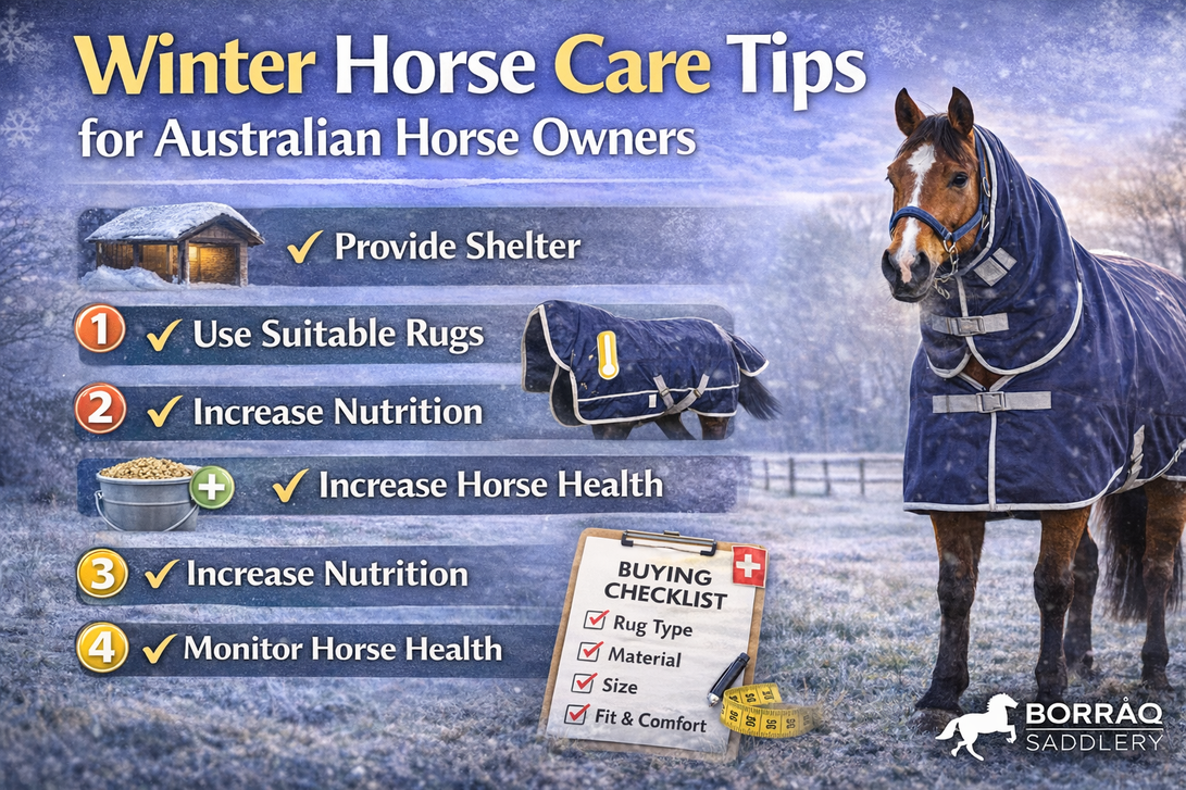 Winter Horse Care Tips for Australian Horse Owners