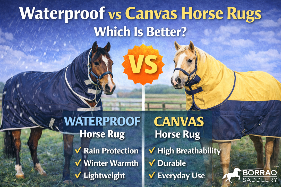 Waterproof Horse Rugs vs Canvas Rugs: Which Is Better?