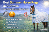 How to Choose the Right Horse Rug for Summer in Australia