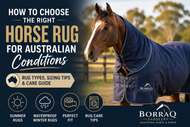How to Choose the Right Horse Rug for Australian Conditions