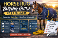 Horse Rug Buying Guide for Beginners
