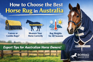 How to Choose the Best Horse Rug in Australia: Complete Buyer Guide
