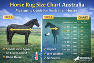 Horse Rug Size Chart Australia: How to Measure Your Horse Correctly