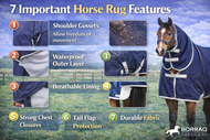 Top 7 Horse Rug Features Every Owner Should Know