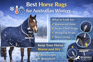 Best Horse Rugs for Australian Winters: What to Look For