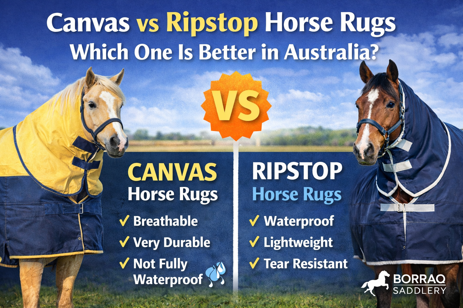 Canvas vs Ripstop Horse Rugs: Which One Is Better in Australia? - Borraq