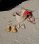 Pons Classic Women' Avarcas Sandals-Saffron