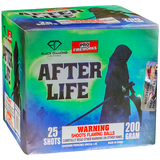 AFTERLIFE