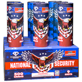 National Security