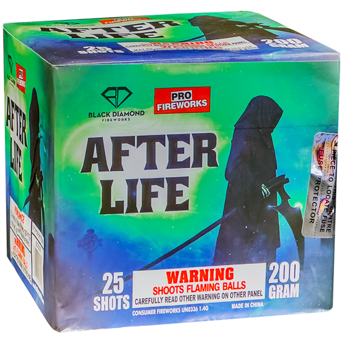 AFTERLIFE