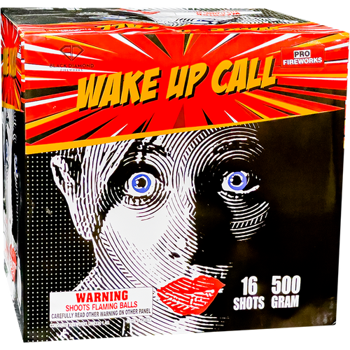 WAKE UP CALL