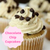 [Cupcake Gourmet Chocolate Chip]