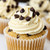 [Cupcake Gourmet Chocolate Chip]