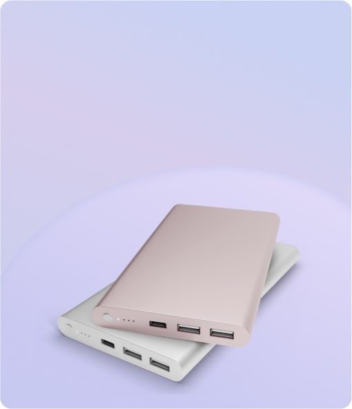 Halo power Bank Charger