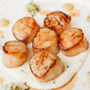 Caramelized Alaska scallops on a plate in a creamy sauce.