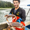 Broken Dungeness Crab (Leg & Claw Pieces)